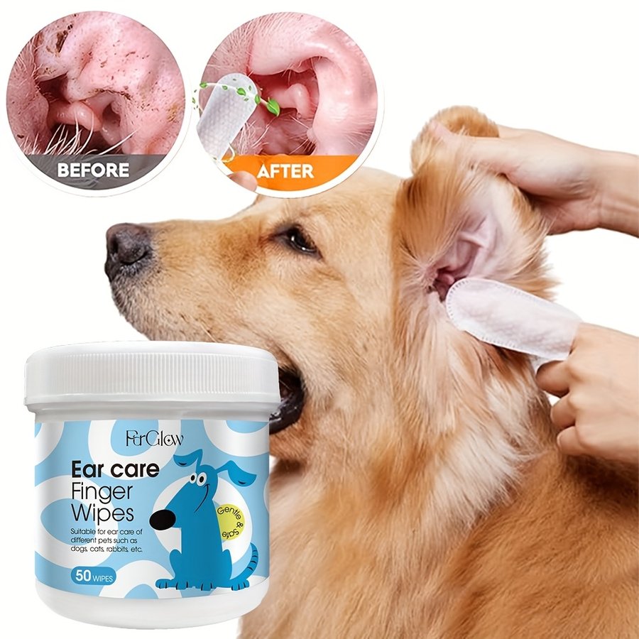 Entryway Quick Dry Ear Cleaning Cotton Swab Case