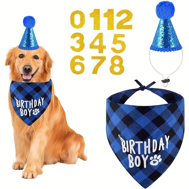 Photo Prop Dog Birthday Hat