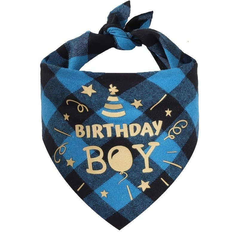 First Birthday Bone Party Favor Bag
