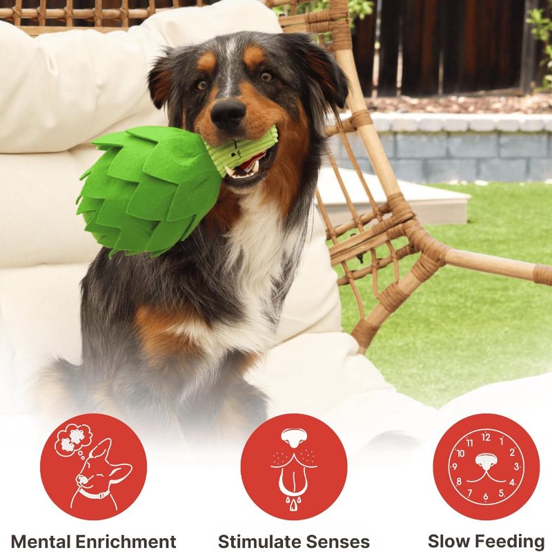 Washable Sushi Snuffle Toy