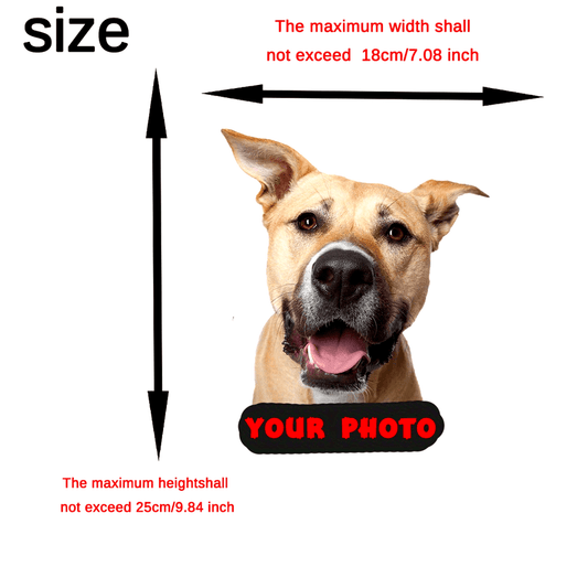 Gift-ready Pet Car Decal Blank