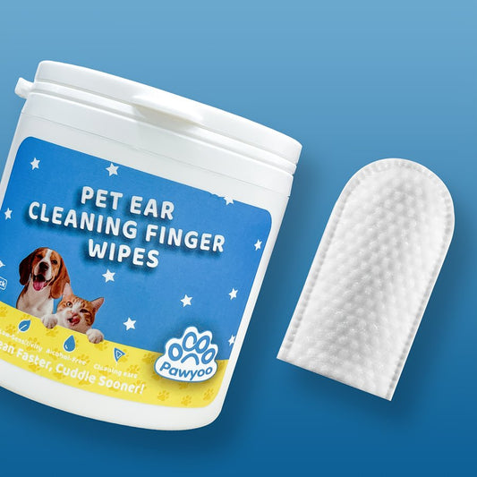 Car Portable Ear Cleaning Cotton Swab Case