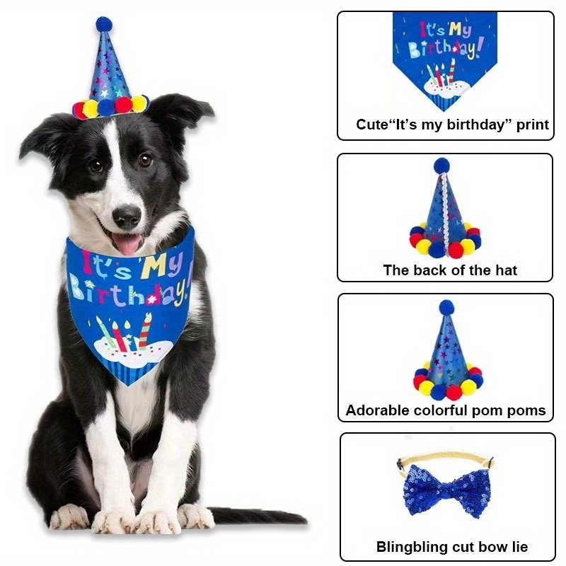 First Birthday Dog Birthday Hat