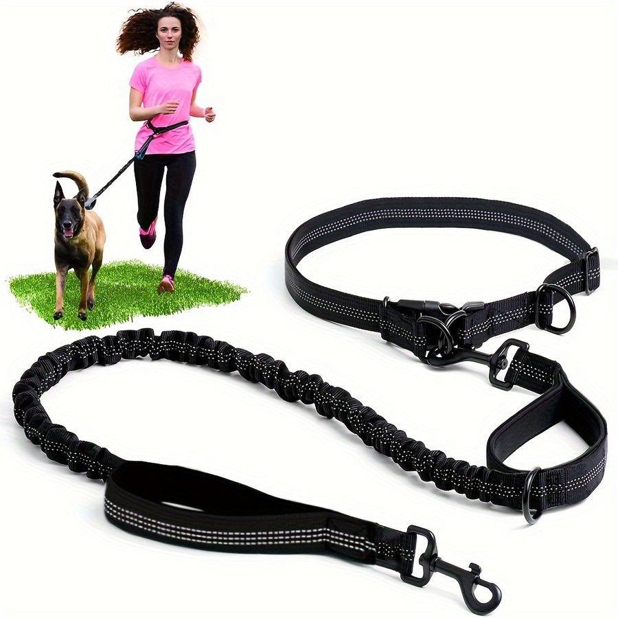Weekend Trip Reflective Dog Leash