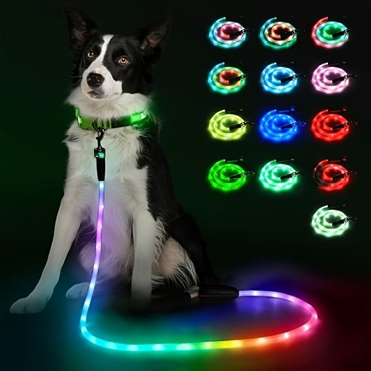 Small Dog Compact Reflective Dog Leash