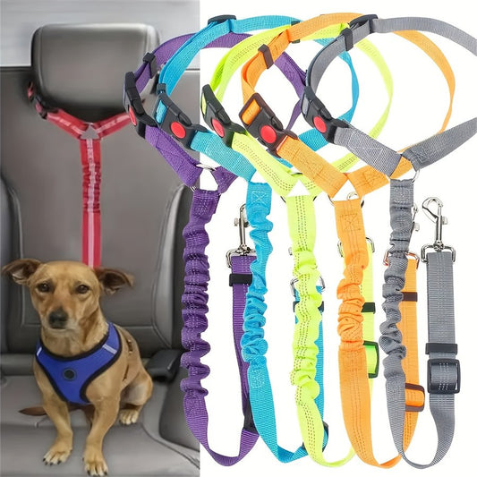 Gotcha Day Birthday Leash Set