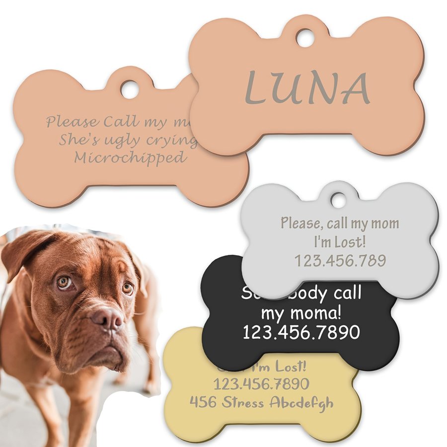 Gift-ready Metal Bone Pet Tag